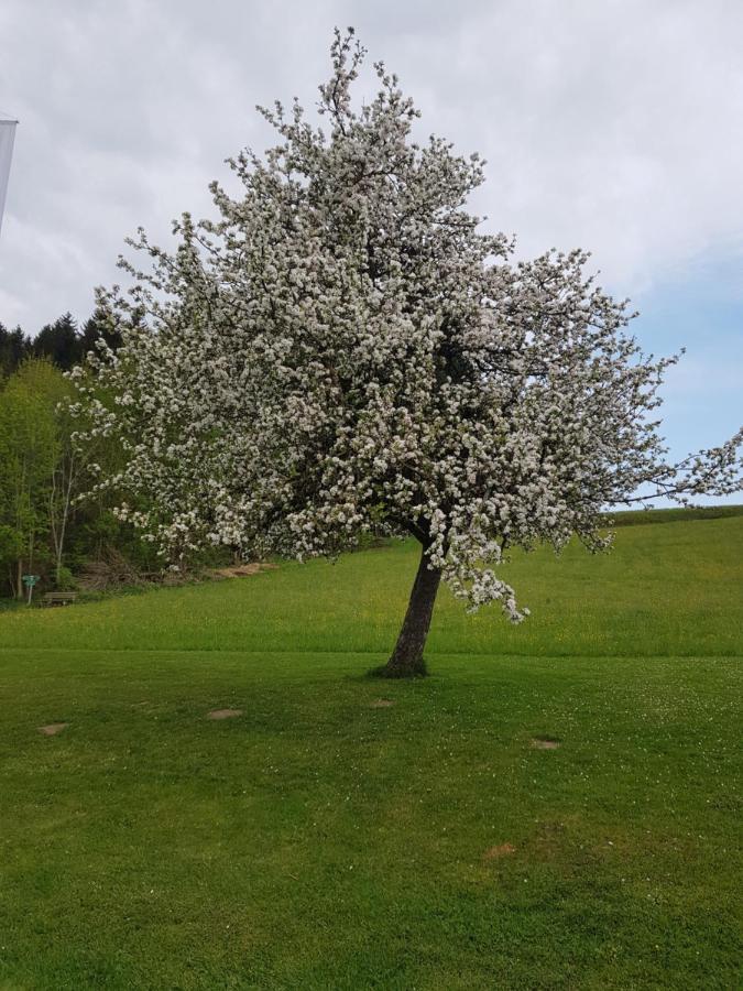 Berg Weingarten Garni Hotel