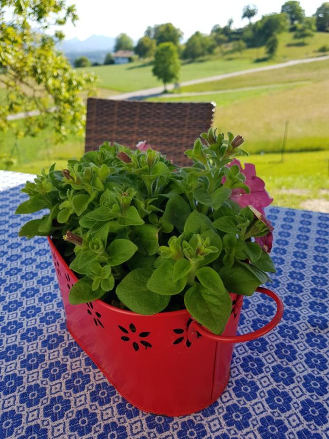 Berg Weingarten Garni 3*